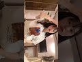 텐미리 틱톡 (tiktok @1_0chan)
