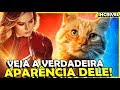 VAZA A VERDADEIRA FORMA ALIENÍGENA DO GATINHO DA CAPITÃ MARVEL