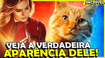 O que é o gato da Capitã Marvel?