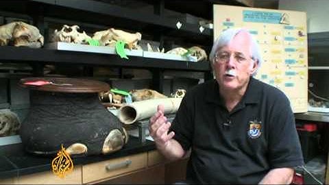 Forensics help fight wildlife trade