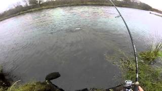 kerry salmon fishing