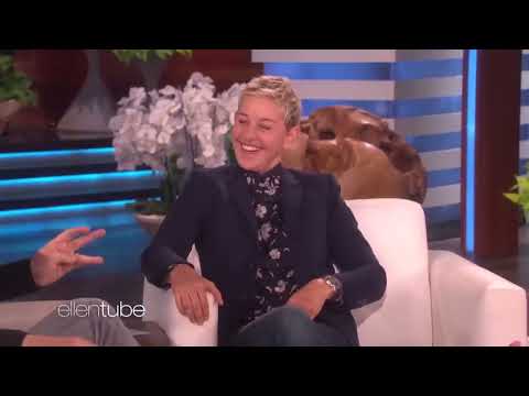 Celebrities Who Insulted Ellen Degeneres On Her Own Show