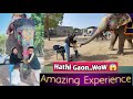 Day trip to hathi gaon   elephant village jaipur top place to visit in jaipur 