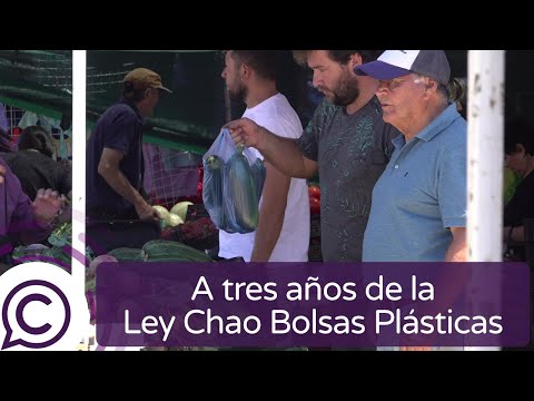 A tres años de la Ley Chao Bolsas Plásticas ¿cómo se ve esta medida en Pichilemu?