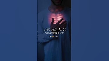 #تلاوة_خاشعة آيات السكينه #عبدالرحمن_مسعد