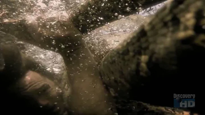 Austin Stevens Attack by the anaconda