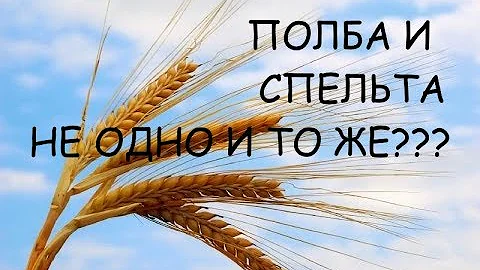 ЧТО ТАКОЕ ПОЛБА И СПЕЛЬТА? Это не одно и то же?
