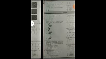 NSO Class 5 Question Paper (5-12-2023) | Science Olympiad Question Paper Class 5 | NSO Class 5  #sof