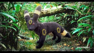Pokemon Umbreon Art Doll - Realistic Pokemon plush