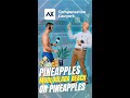 Pineapples or Pineapples - Mooloolaba - Verse in Reverse - AX Compensation Lawyers