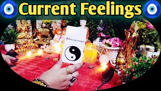 🧿💌Current Feelings💌🧿 Messages From Your Partner 🍁🌼 All Signs Collective Timeless Tarot🌈