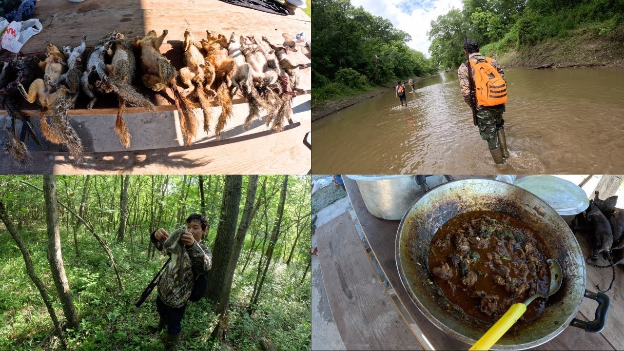 Can You Bait Squirrels In Missouri Can You Bait Squirrels In Missouri