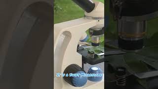 Maple Microscope