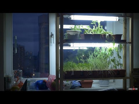Таймер для растений