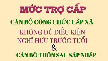 Trợ cấp cán bộ cấp xã không đủ điều kiện nghỉ hưu trước tuổi, phụ cấp cán bộ thôn, tổ dân phố 2025