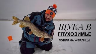 ЩУКА В ГЛУХОЗИМЬЕ! Ловля Окуня и Щуки Зимой!! Балансир и Жерлицы 2020. ЗИМНЯЯ РЫБАЛКА. ОПЫТ ЖЕРЛИЦ!