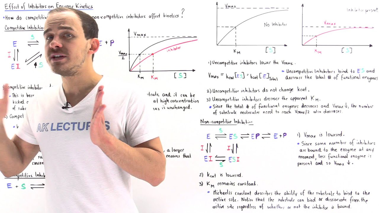 Enzyme Kinetics of Reversible Inhibition