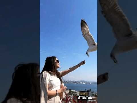 اغنية ليه بتغير منها