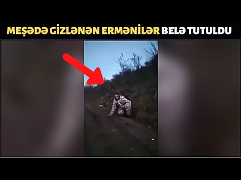 Video: Dərənin Qayıtması