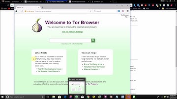 How To Run A TOR Relay Server On Windows And Mac OS X 2017 Updated!