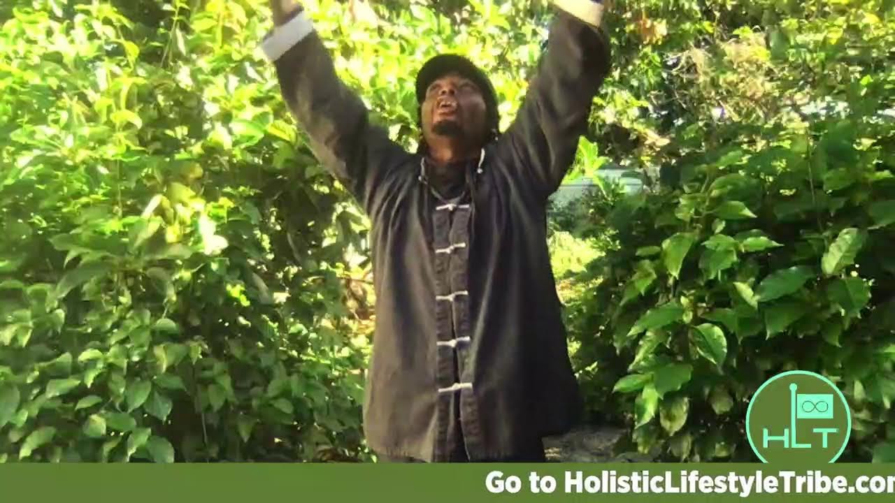 Qigong | Rise and Prime