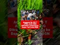 Berbagi konsultasi kesehatan