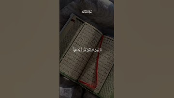 ويل لكل أفاك أثيم #ياسر_الدوسري #سورة_الجاثية #قرآن #قرآن_كريم