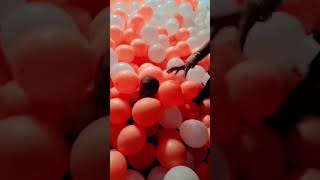 Lost in a balloon wonderland 😍🎈 #BabyJoy #cutebaby #shortsfeed #baby #cute #explore #babyyumyum