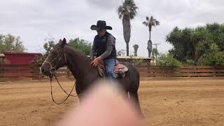 Uno de 6 videos CONOSIENDO AL CABALLO