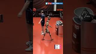 Table Tennis Robot vs Human, Who Wins? Incredible Wonder Studio Ai  #shorts