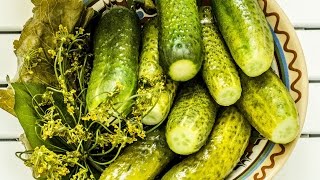 Огуречная диета для похудения. Отзывы на огуречную диету Огуречная диета для похудения. Отзывы на огуречную диету