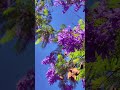 Summer time in Italy