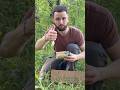 The correct way to cook eggs outdoors🥚🔥 #lifehacks #bushcraft #survival #camping #outdoors #diy