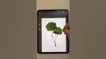 Procreate How to Draw a Tree Nature Tutorial
