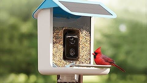 Video Camera Bird Feeder by Sharper Image