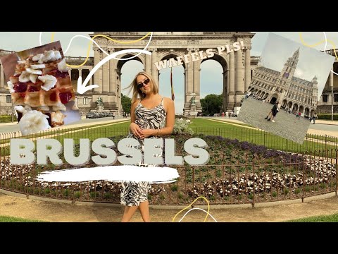 We were not expecting this... || Brussels travel vlog