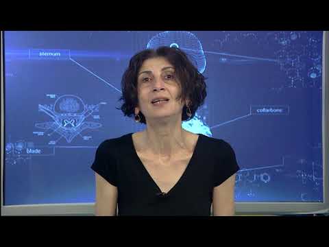 იმპულსი-მთავარი თემა: ნარკოტიკული საშუალებების მოხმარებისა