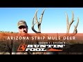 Huntin' Fool TV Season 01 Episode 09 - Arizona Strip Mule Deer