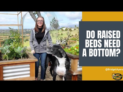 Do Raised Beds Need a Bottom?