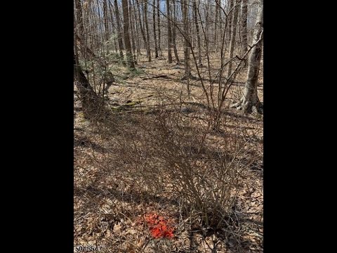 121 Mohican Rd, Blairstown Twp., NJ home video tour