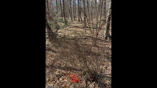 121 Mohican Rd video tour