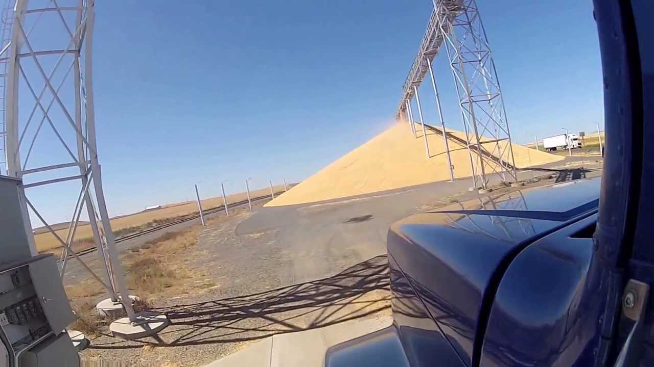 Creston WA Wheat Harvest 2013