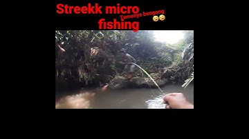 mancing ikan wader streek lage gess#17