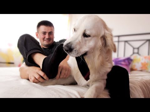 My Funny Dog Pulls Socks Off Me [TRY NOT TO LAUGH]