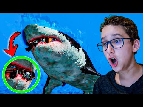 Vídeo: As conexões SharkBite giram?