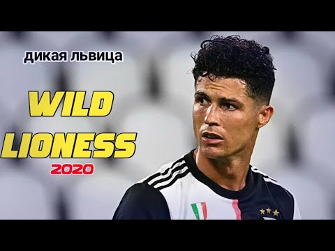 wild lioness tubazy mp3 indir, mobil indir