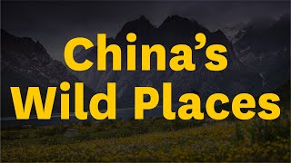 Kyle Obermann Talks About His Work Documenting China's Wild Life
