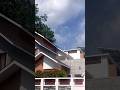 ചക്കര മാങ്ങ #shortsviral #shortsfeed#music #song #trend #ytshorts #mangorecipe