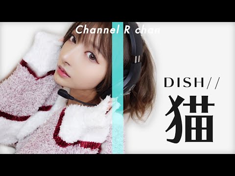 猫 / DISH// 【歌ってみた】Rちゃん