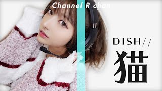 猫 / DISH// 【歌ってみた】Rちゃん🐈